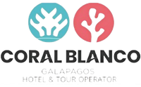 Coral Blanco Galapagos